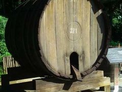 -北京张裕爱斐堡酒庄