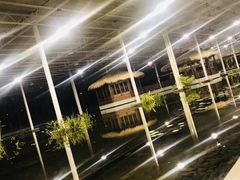 -上海鲜花港