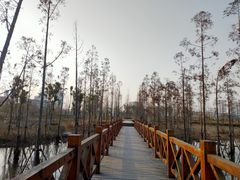 -三垟湿地