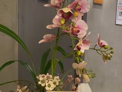 -施奈儿.洗头頭療.按摩SPA.采耳(上梅林店)