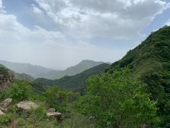 -大岭沟猕猴桃谷风景区