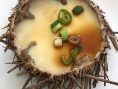 -海胆小馆(东北水饺·春柳店)