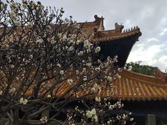 -普陀山风景名胜区-法雨禅寺
