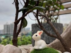 -小茶闲舍·观景商务茶馆(广州塔店)