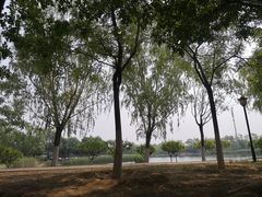 -永定河休闲森林公园