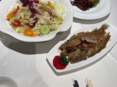蔬菜沙拉-申粤轩酒楼·三十年粤菜经典(丁香花园店)