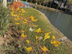 -上海鲜花港
