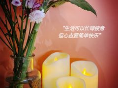 -菌林天下·野生菌汤锅