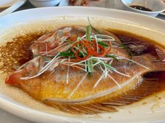 -华盛丰温州大排档(东三环南路店)