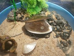 -海合安武汉极地海洋公园