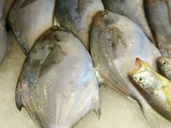 -合家小菜餐馆(新诚花苑店)