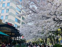 -玛格萝妮比萨屋(四平店)