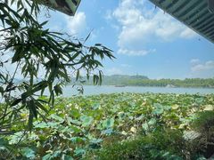 -湖畔居茶楼(湖滨店)