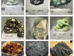 -湖南省地质博物馆