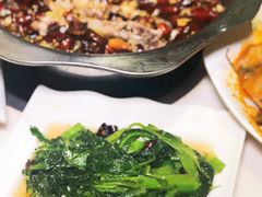 炝拌荠荠菜-万和源炝锅城·活鱼现炝(文艺北路店)