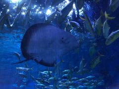 -华夏文旅西安度假区