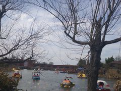 -世界恐龙谷景区