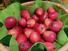 -元素自助餐厅·生蚝·海鲜·刺身(萝岗汇华希尔顿逸林酒店)