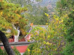 -潭柘寺景区
