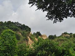 -火炉山森林公园
