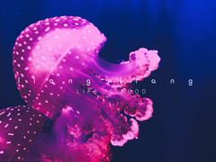 -华夏文旅西安度假区