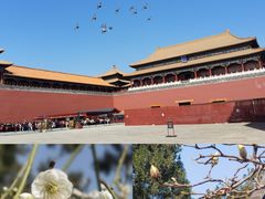 -北京市劳动人民文化宫