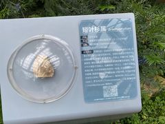 -国家植物园南园