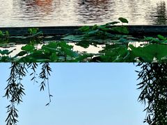-济南大明湖景区