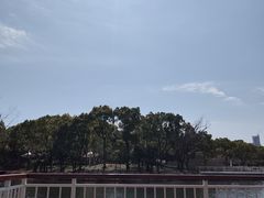 -新江湾城公园