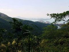 -太平山顶