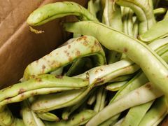 -大地烙馍村(商城路店)