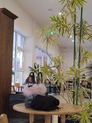 -WAVE SODA摄影工作室