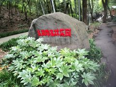 -石燕湖生态旅游景区
