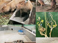 -荆州中山公园动物园