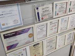 -喵的天空名猫咖啡馆·撸猫·猫舍·用品