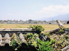 -喜林苑·稻田餐厅(品相府店)
