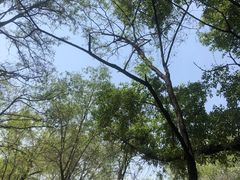 -森林公园(尖草坪区)