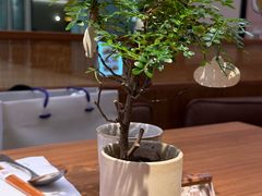 -CURRY YA 熟成咖哩專門店(深圳湾万象城店)
