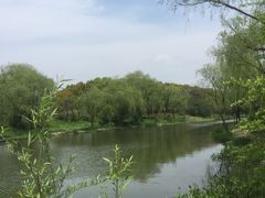 -新江湾城公园