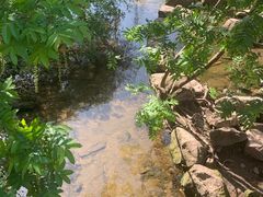 -重庆彩云湖湿地公园
