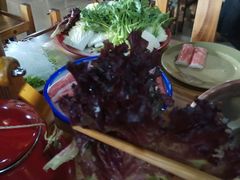 -东镇老火锅(长春路首店)