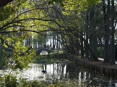 -东湖落雁景区