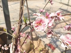 -姥家大锅台水库渔家