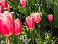 -香山公园-东宫门售票处