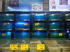 水产区-射阳海鲜城(盐城店)