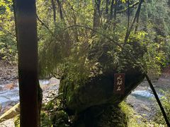 -西岭雪山大飞水景区