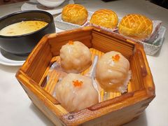 -陶陶居酒家(北京路店)