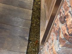 -邈墨茶馆(凤起路店)