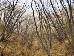 -北京密云天门山风景区