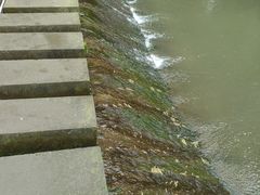 -桤木河湿地公园